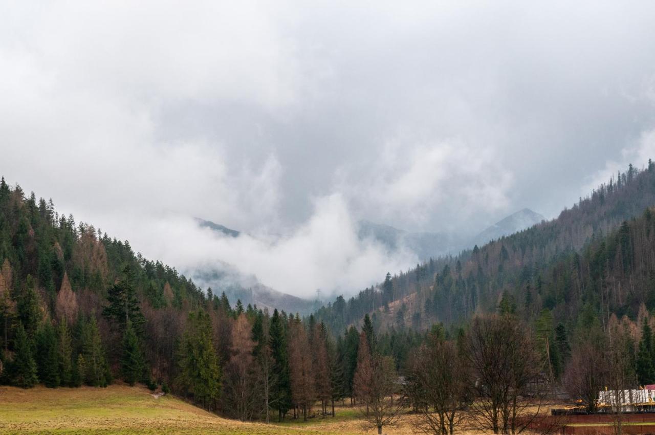 Willa Pod Nosalem III Zakopane Exteriör bild